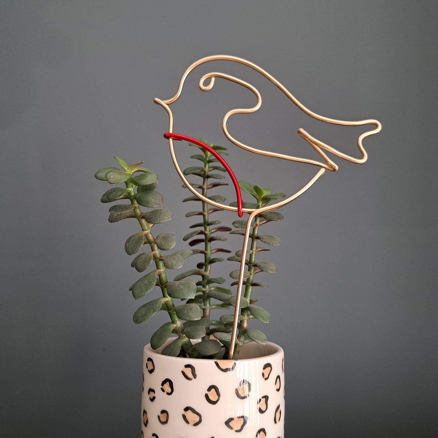 Robin Plant Pot Pal