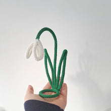 Load image into Gallery viewer, Snowdrop