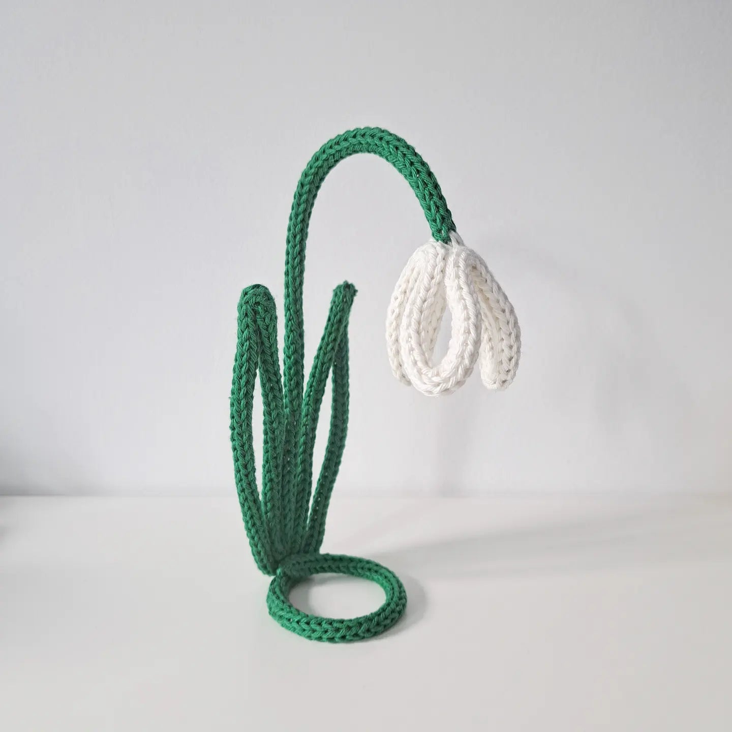 Snowdrop